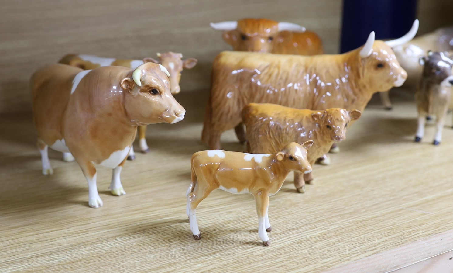A Beswick Highland bull, cow and calf, a similar Freisian bull, cow and calf and a Dulsby Coy Boy, bull, cow and calf